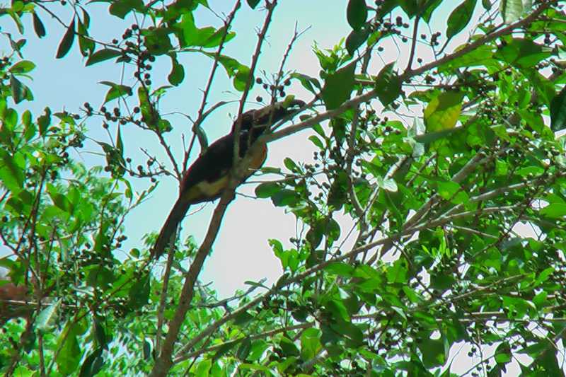 Mexico & Guatemala 2010 - 1119